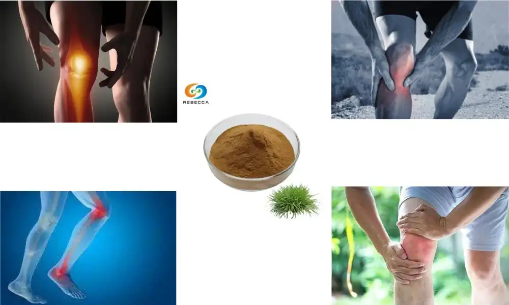 Is horsetail good for joints?